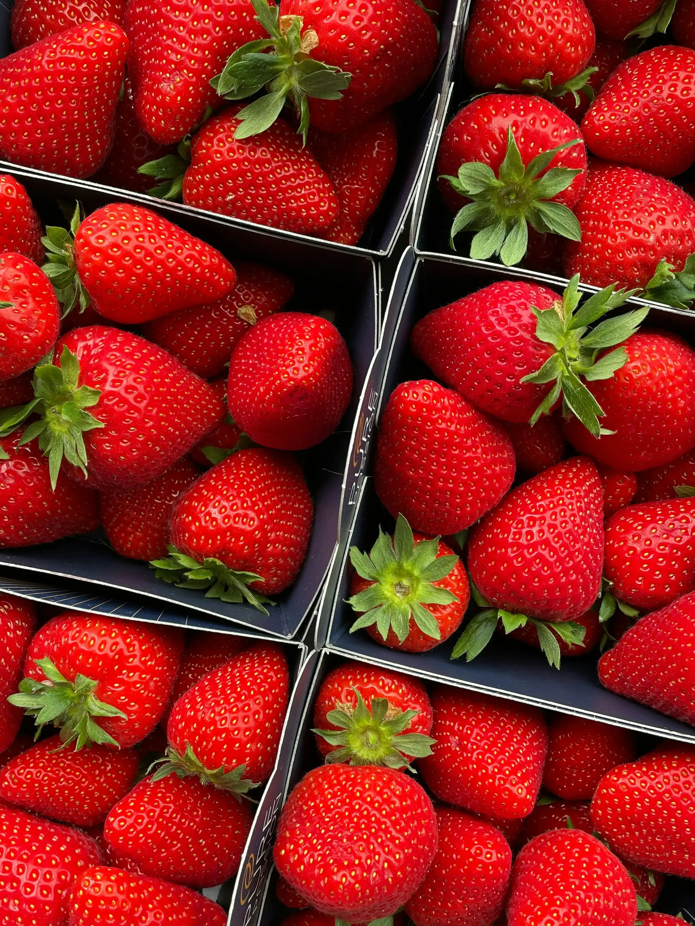 Ripe strawberries packed in cartons, seen from above